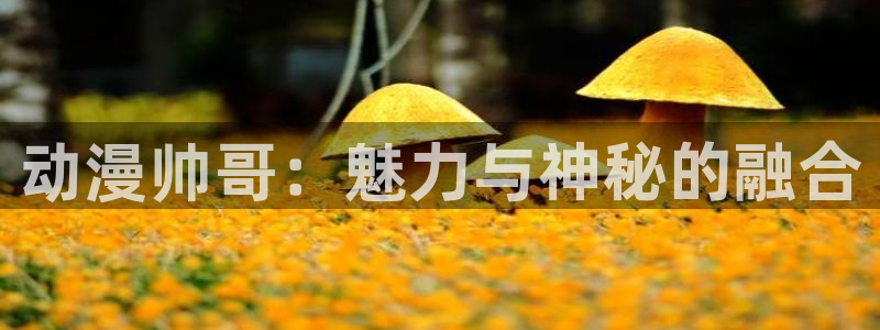虫虫漫画每日排行：动漫帅哥：魅力与神秘的融合配图