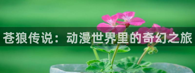 虫虫漫画大全人气推荐：苍狼传说：动漫世界里的奇幻之旅配图